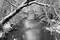 stream-small.jpg